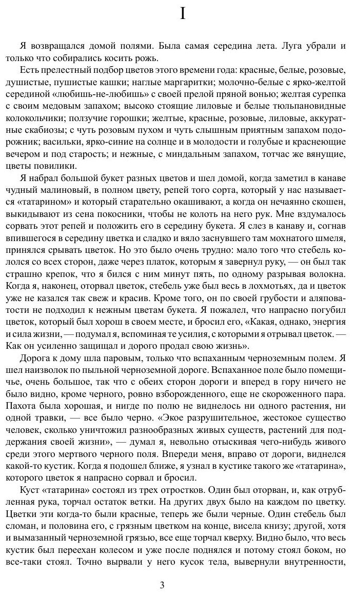 Хаджи-Мурат (Толстой Лев Николаевич) - фото №3