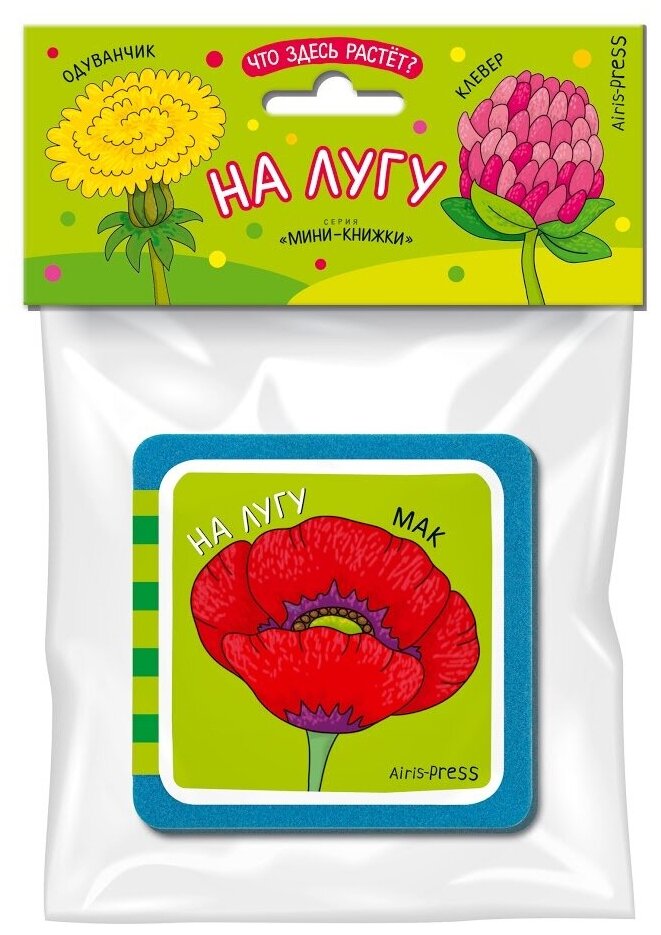 Мини-книжки ЭВА. Что здесь растёт? На лугу - фото №4