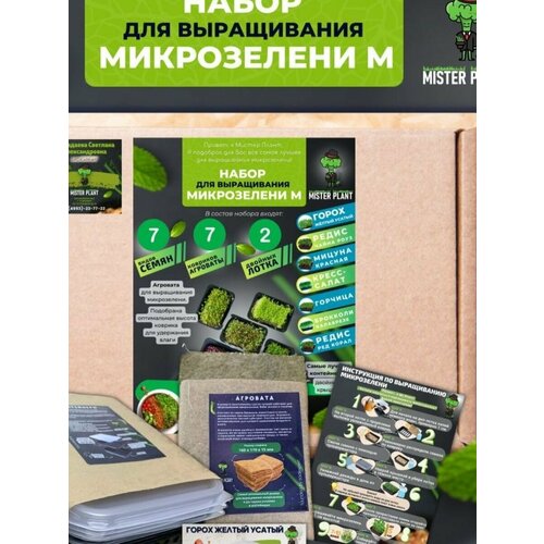 Набор для выращивания микрозелени (M) набор семян для выращивания semena group кресс салат 5 гр