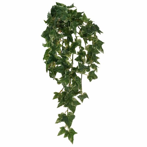 Растение искусственное Голландский плющ пестрый, 106 листьев, 70 см