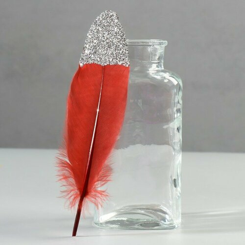 Набор перьев гуся 15-20 см 10 шт красное вино с серебрянной крошкой 349₽