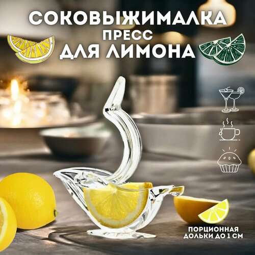 Порционный пресс для цитрусовых 38000₽