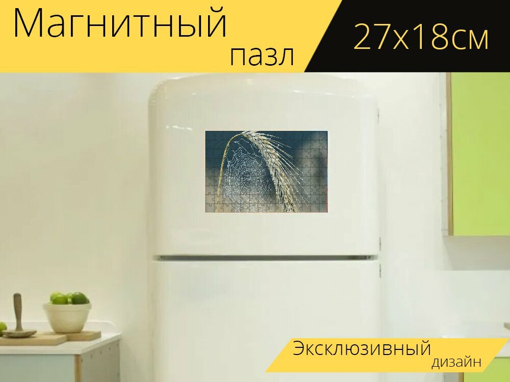 Магнитный пазл "Паутина, паук, halm" на холодильник 27 x 18 см.