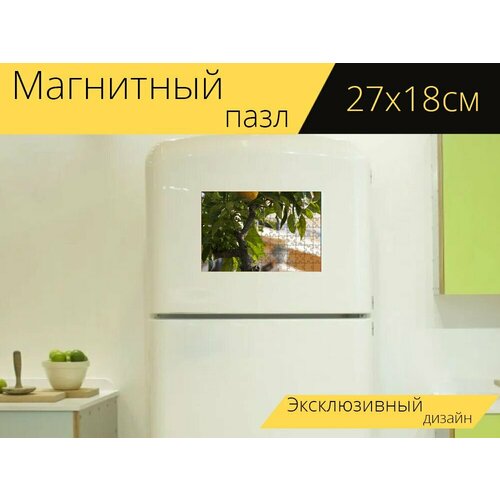 Магнитный пазл Лимон, лимоне, цитрусовое растение на холодильник 27 x 18 см. магнитный пазл лимон цитрусовый фрукт лимоне на холодильник 27 x 18 см