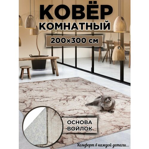 Ковры комнатный 200х300