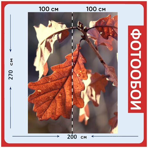 Фотообои Падение листья коричневый на стену 270x200 см 2980₽