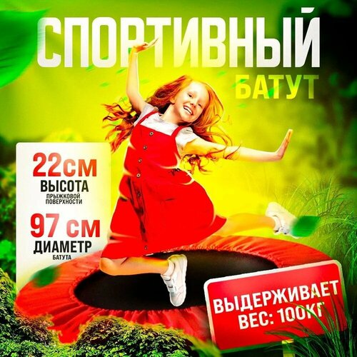 Батут спортивный TAKARA LN-2400-38 цвет черный-красный диаметр 97 см 5047₽