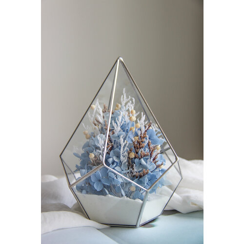 Флорариум CеверИнсайд капля с сухоцветами 