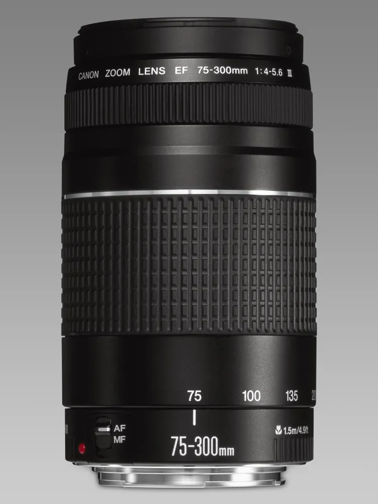 Объектив Canon EF 75-300mm f/4-5.6 III