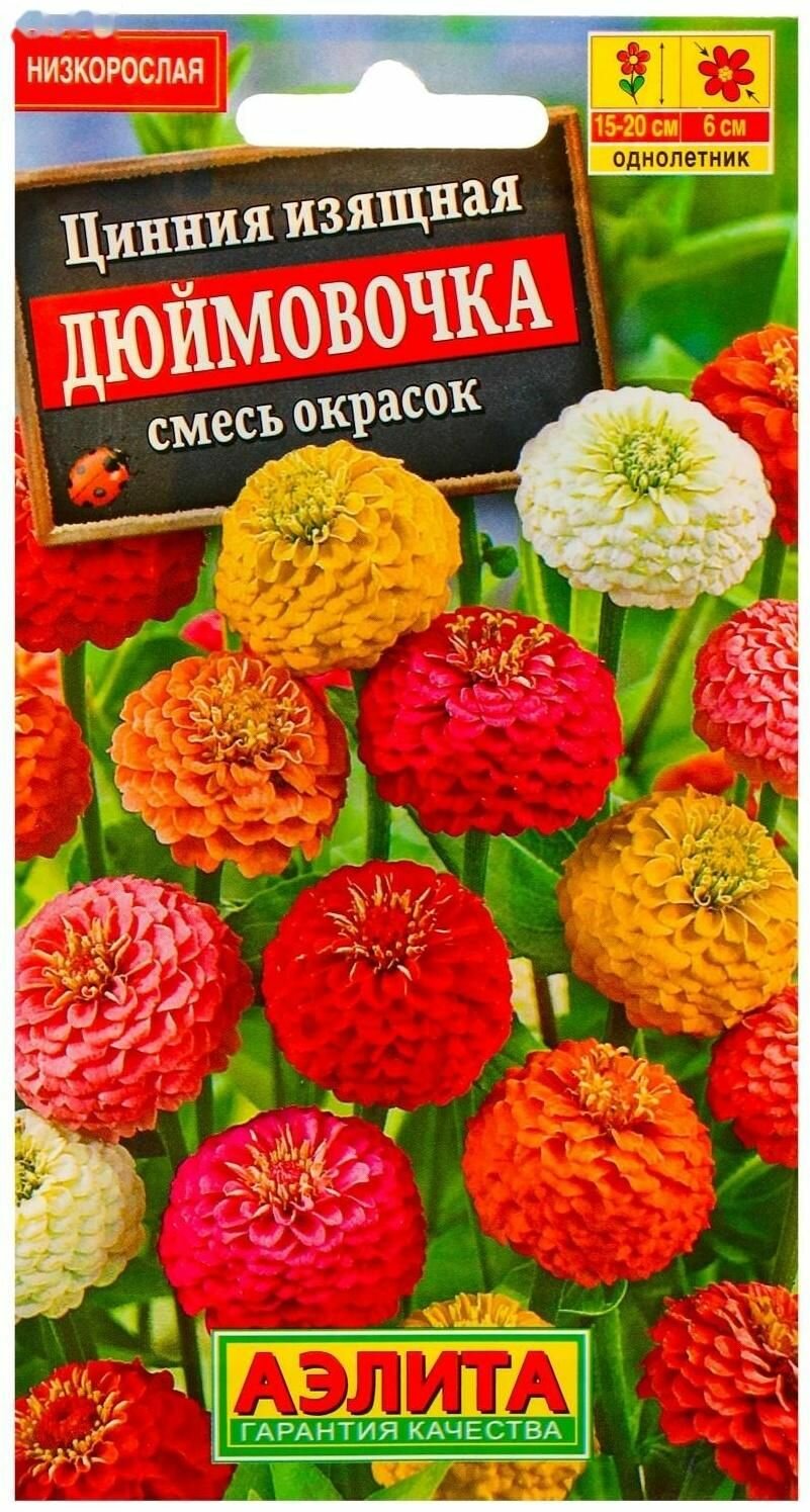 Семена цветов Цинния Дюймовочка смесь окрасок 03 г