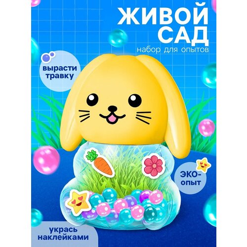 Набор для опытов Живой сад Зайка вырасти траву цвет МИКС Эврики 602₽