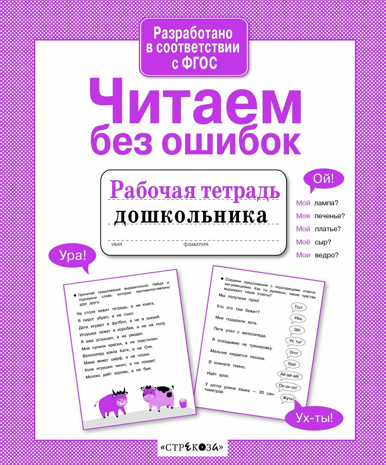 Читаем без ошибок. Рабочая тетрадь дошкольника