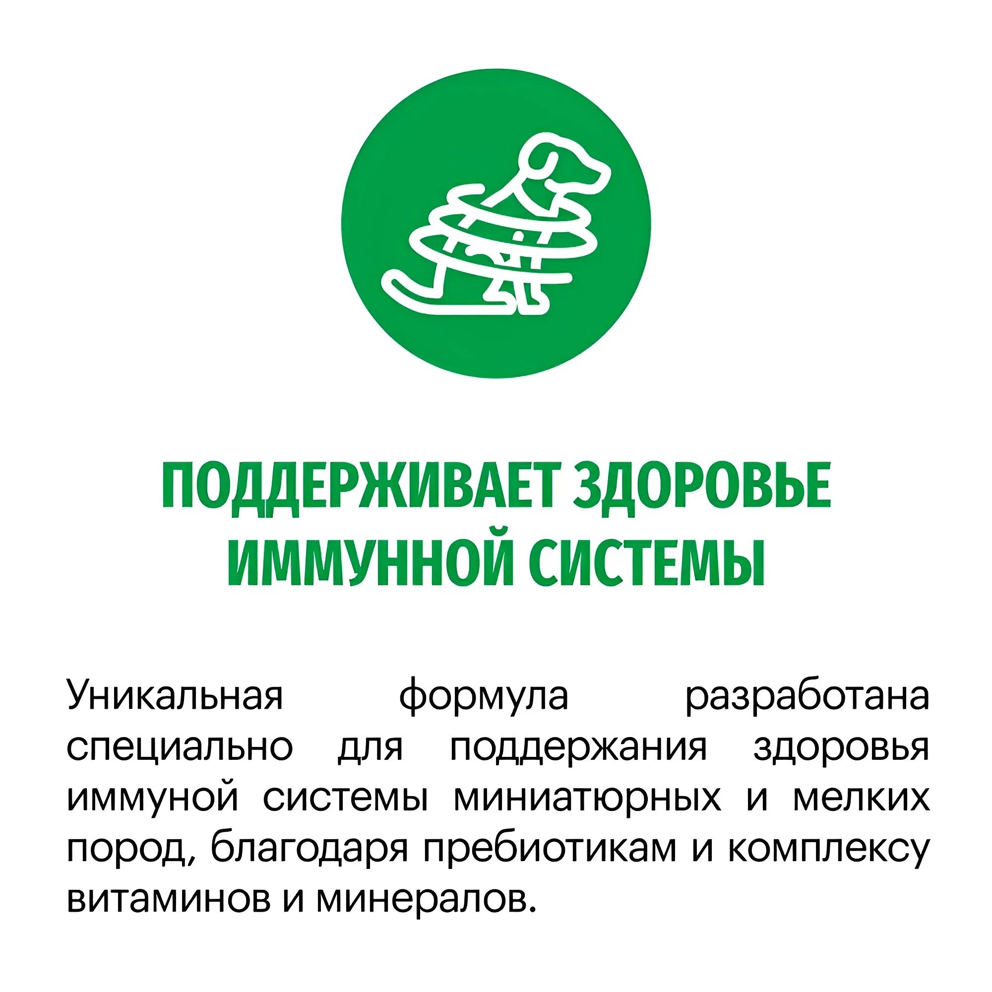 Сухой корм Karmy Mini Adult для взрослых собак мелких пород старше 1 года, Индейка 10 кг — фото 1