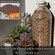 Грунт для кактусов и суккулентов Succultura 3 л.