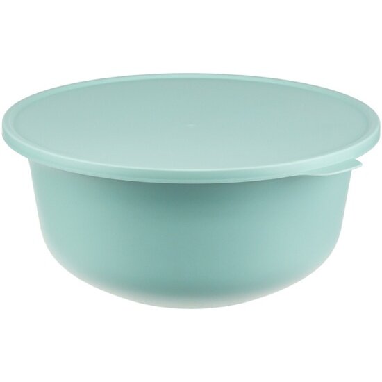 Миска Idea тэсти 43л с крышкой М 1364 Морская волна