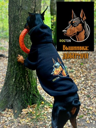 Изображение товара Худи для собак DOGTON "Доберман", черный, с вышивкой, с капюшоном, начес, размер XXXL