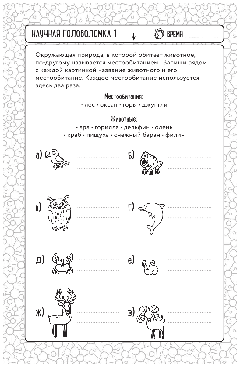 Гениальные головоломки (Гарет Мур) - фото №5