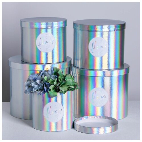 фото Набор шляпных коробок для цветов 5 в 1 с голографией «нежность цветка», 14 × 13 см - 22 × 19,5 см qwen