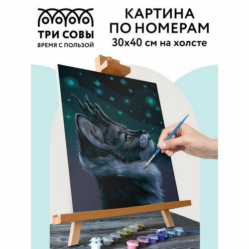 Картина по номерам на холсте 30 × 40 см «Мистический кот», с акриловыми красками и кистями