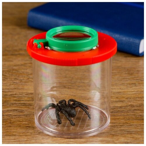 Romanoff Набор Юный натуралист стакан лупа 2х цвета микс 435₽