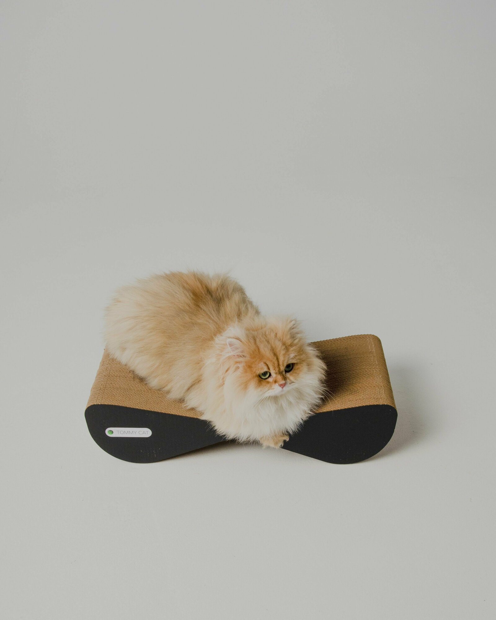 Когтеточка из картона для кошки Дроп, черная - фотография № 1