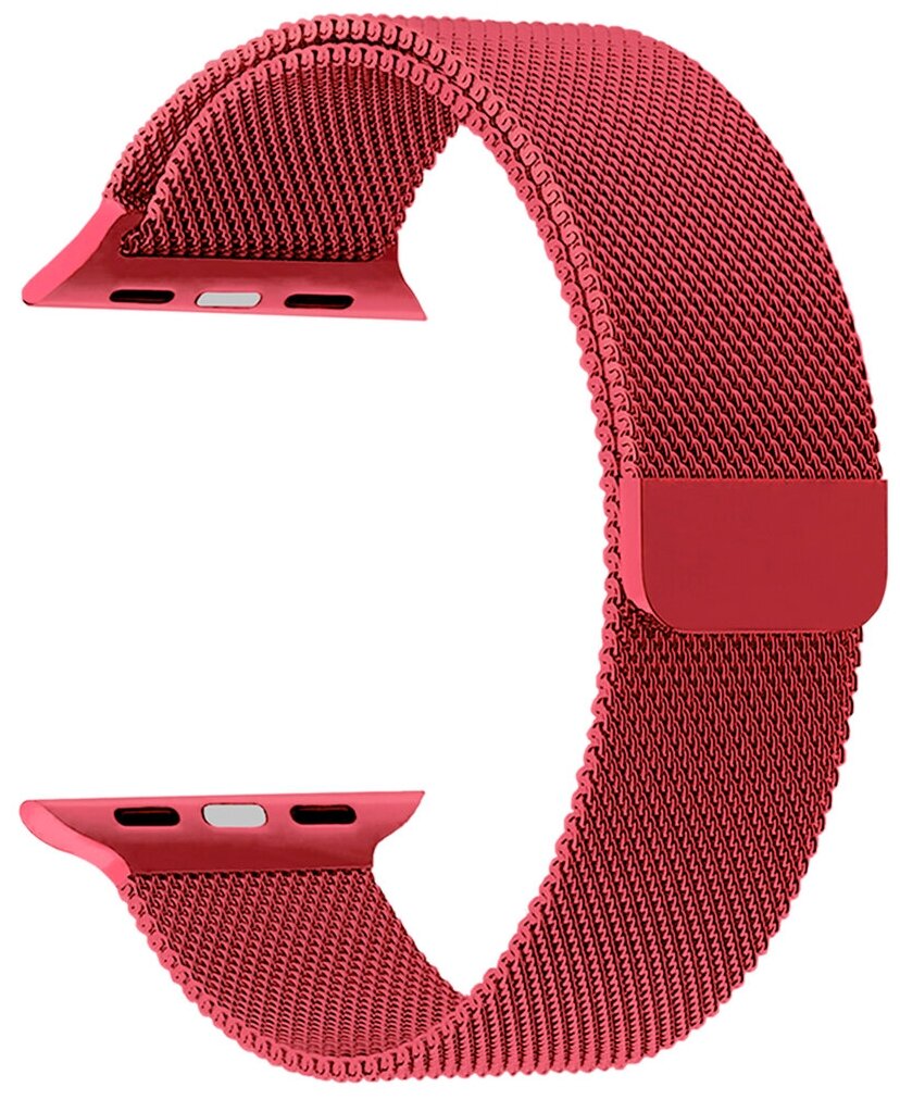 Ремешок Lyambda для Apple Watch 38/40 mm Capella (Нержавеющая сталь) Gules DS-APM02-40-GS