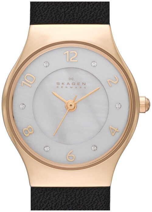 Наручные часы SKAGEN Leather, золотой, серебряный