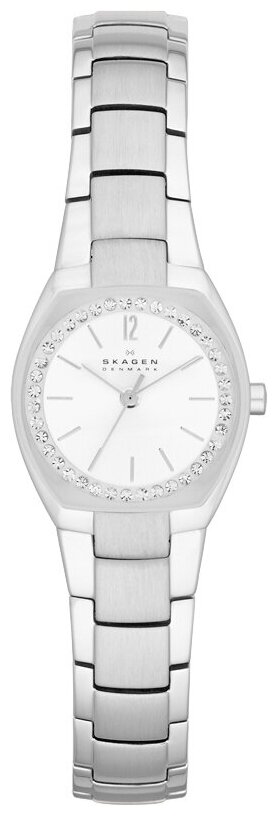 Наручные часы SKAGEN