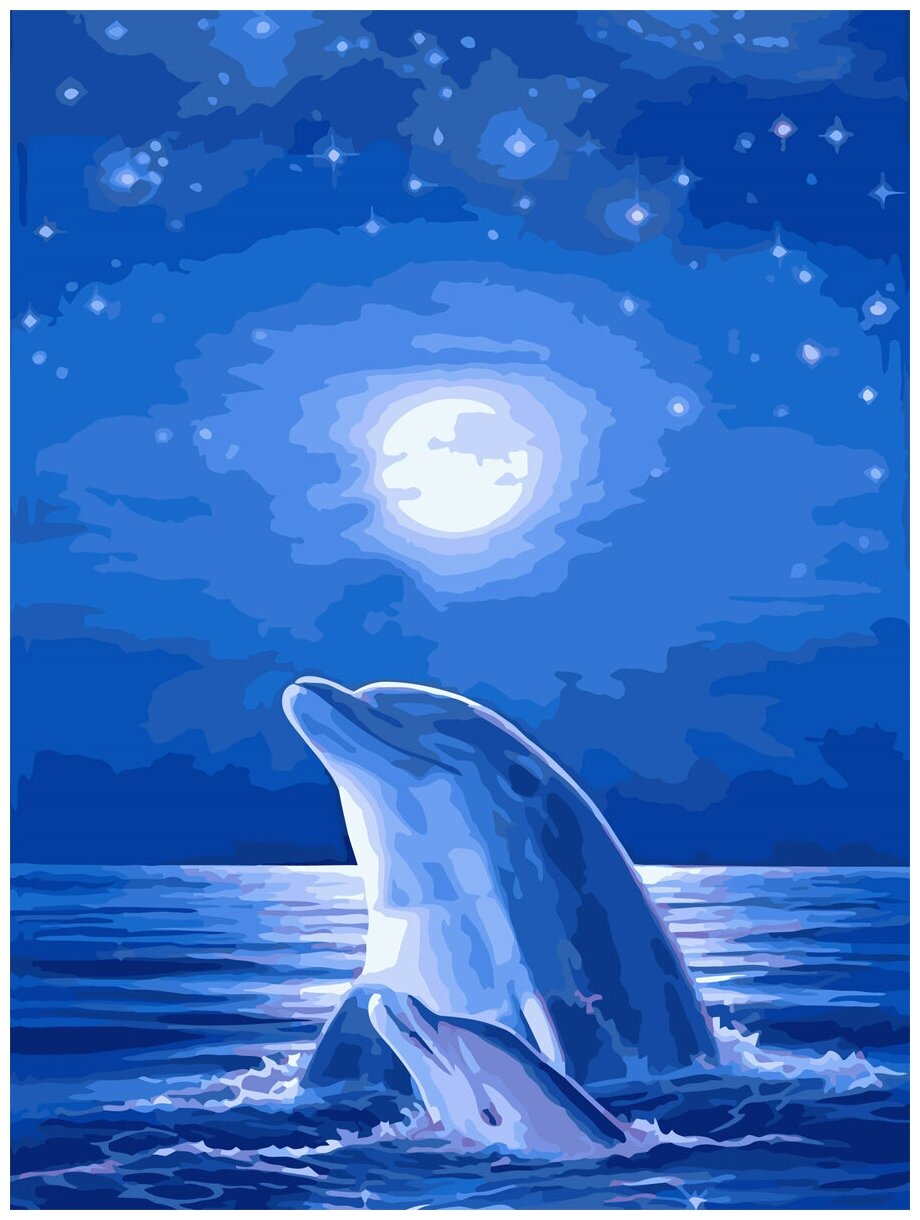 Картина по номерам / Живопись по номерам "Дельфин" холст на подрамнике 40Х50 см