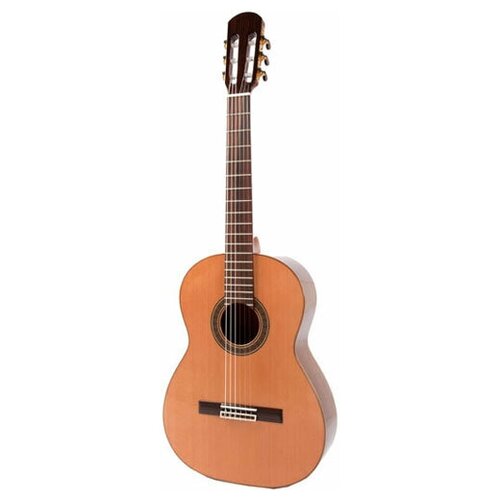 Классическая гитара Raimundo BN1 Cedar, Корпус из ламинированного ованколя, дека из кедра, мензура 640 мм