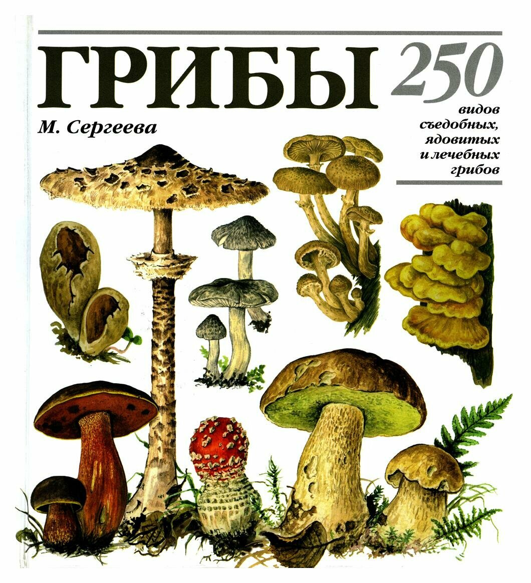 Грибы: 250 видов съедобных, ядовитых и лечебных грибов. Сергеева М. Н. ленанд