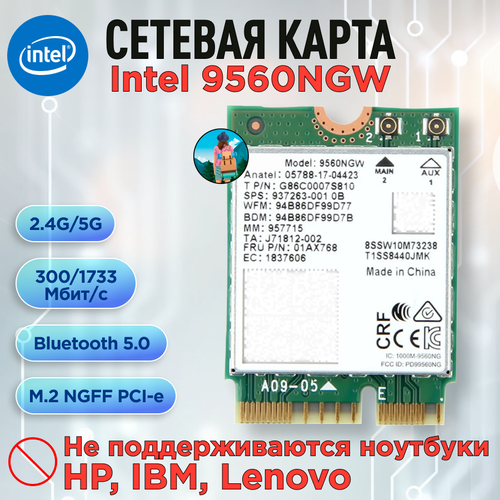 Двухдиапазонная сетевая карта Intel 9560NGW