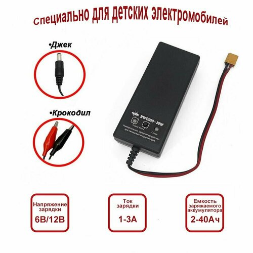 Универсальное зарядное устройство для детских электромобилей 276000₽