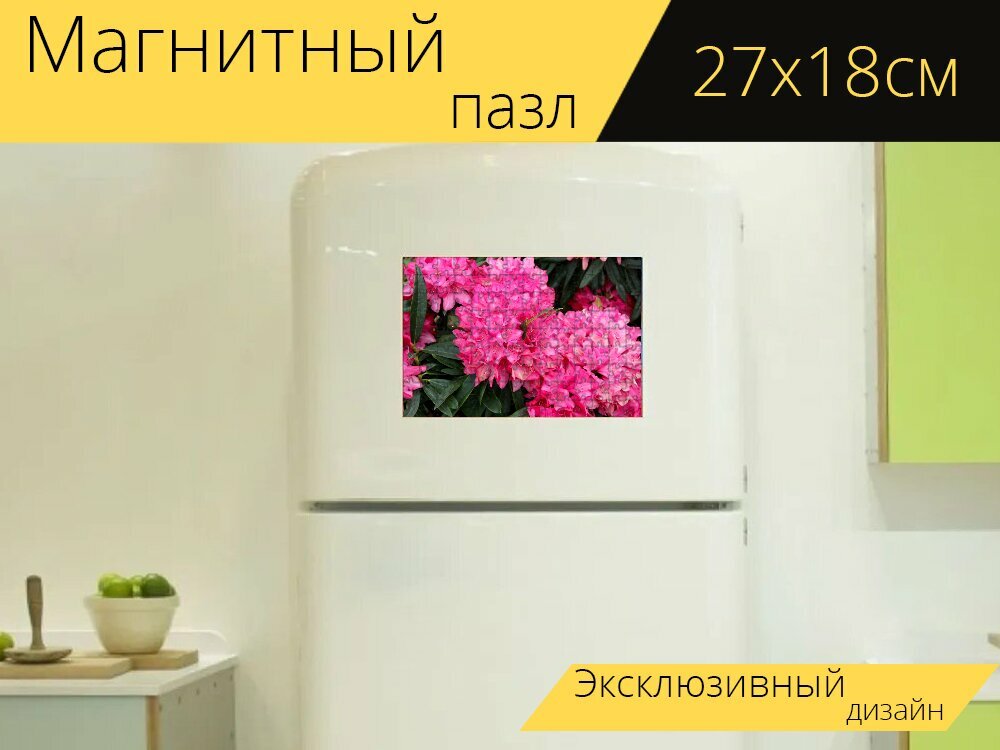 Магнитный пазл "Пионы, кустарник, сад государство шоу" на холодильник 27 x 18 см.