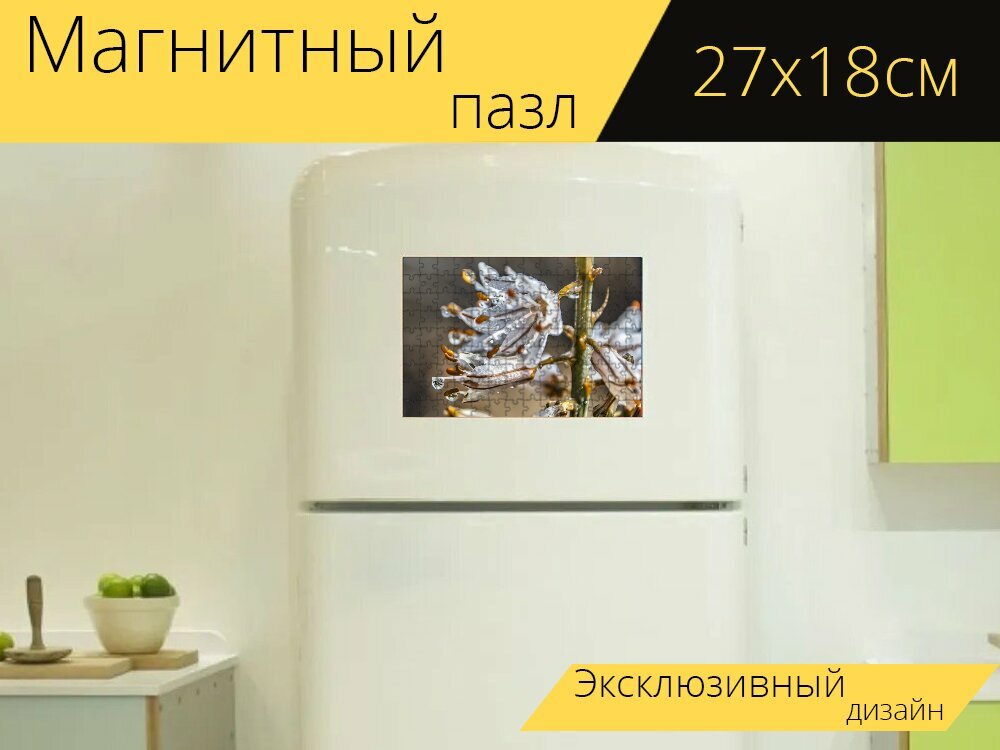 Магнитный пазл "Цветок, пестики, роса" на холодильник 27 x 18 см.