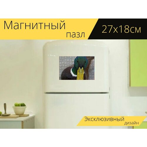Магнитный пазл Утка, утки, птица на холодильник 27 x 18 см.