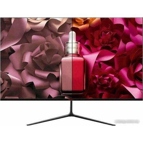 Монитор Pinebro GF-2403T черный 1497300₽