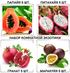 Набор семян серия "комнатные фрукты" 4 вида по 5 шт.: Папайя, Маракуйя, Гранат, Питахайя