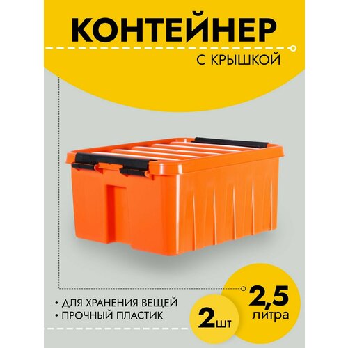 Контейнер для хранения вещей 2,5 л, 210х170х95, 2 шт