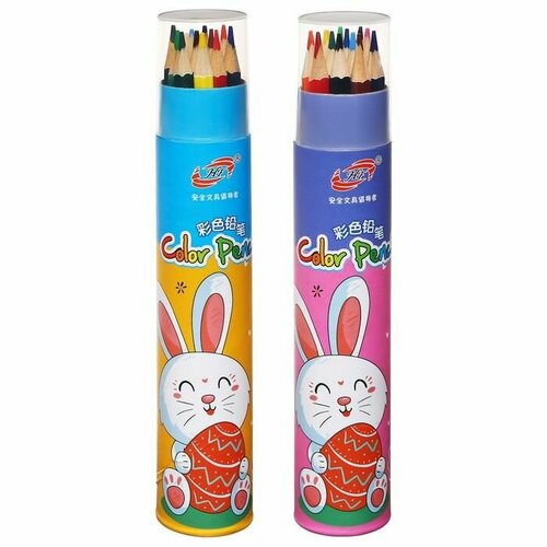 Карандаши цветные в пластиковом тубусе 12 цветов корпус шестигранный заточенные 633₽