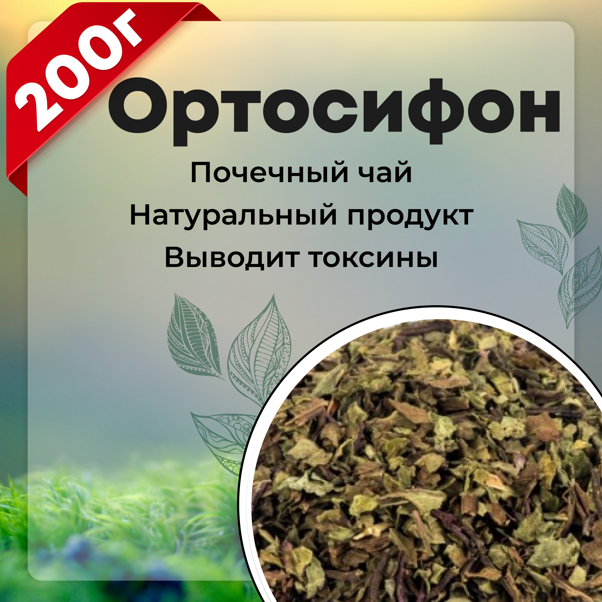Ортосифон листья, трава ортосифон тычиночный, почечный чай, травяной сбор, 200 гр.