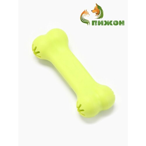 Игрушка жевательная Вкусная кость с отверстиями для лакомств TPR 11 см салатовая 102₽