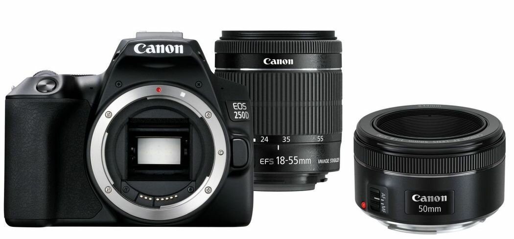 Фотоаппарат Canon Eos 250D kit 18-55mm и EF 50mm f/1.8 STM