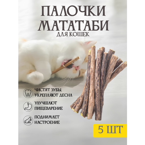 Жевательные палочки мататаби 5 штук, с эффектом кошачьей мяты, игрушка для кошек для чистки зубов