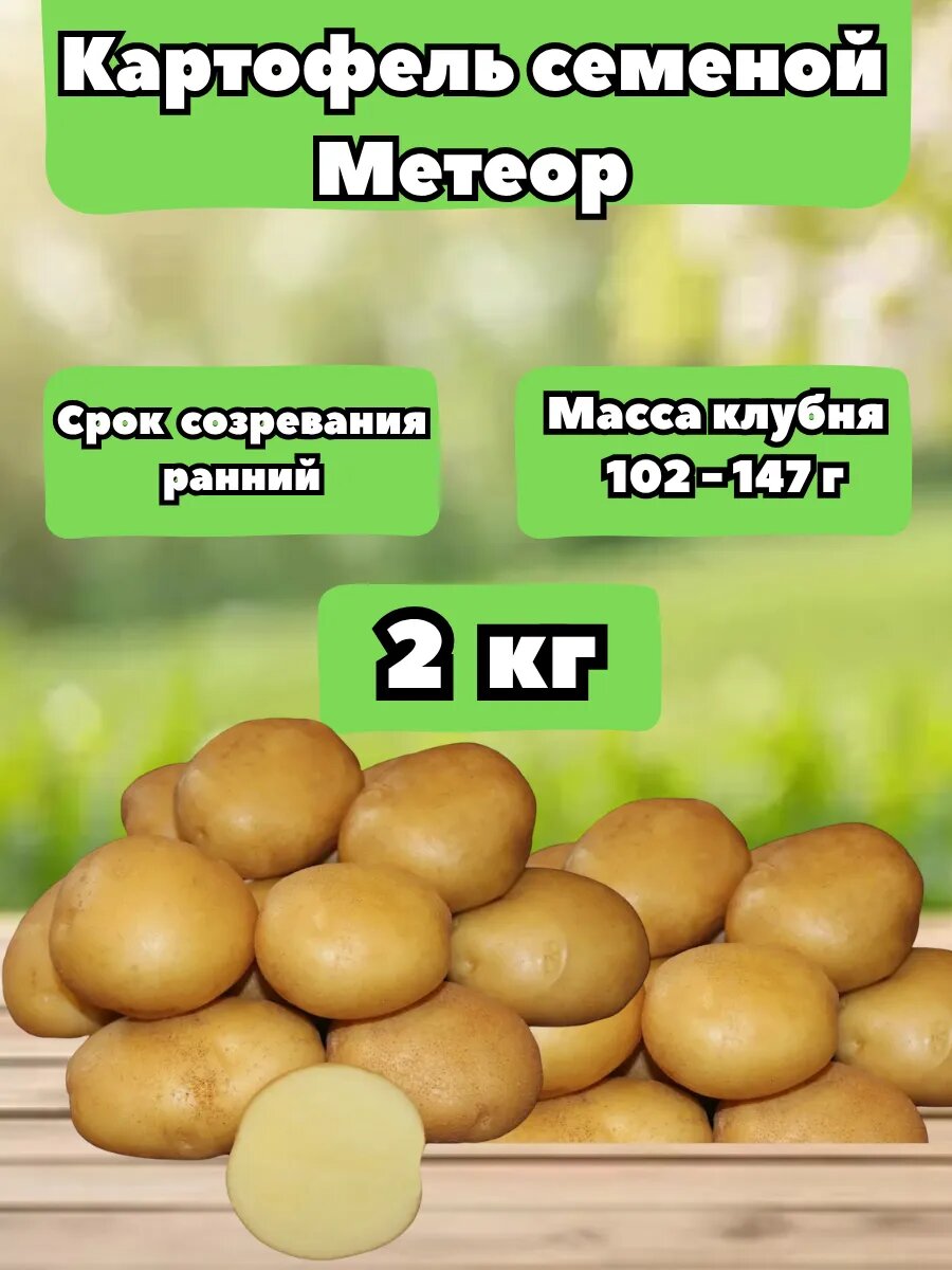 Картофель Метеор 2 кг