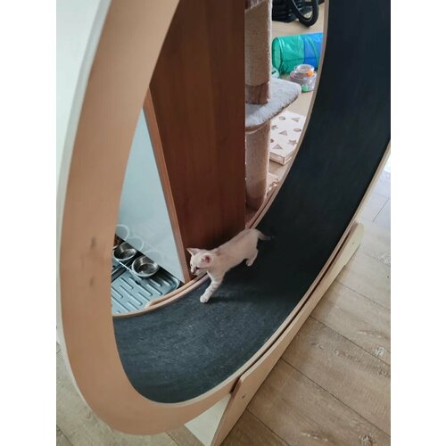 Беговое колесо Когтеточки Киров КН-094 для кошек и собак 120см 17000₽
