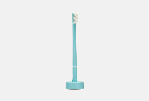 Щетка зубная+подставка-календарь ECHINACEA TURQUOISE SOFT
