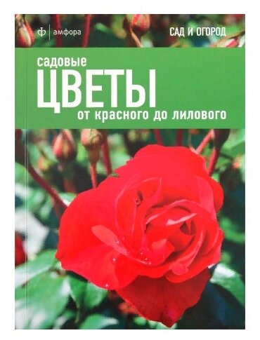 Садовые цветы: от красного до лилового - фото №2