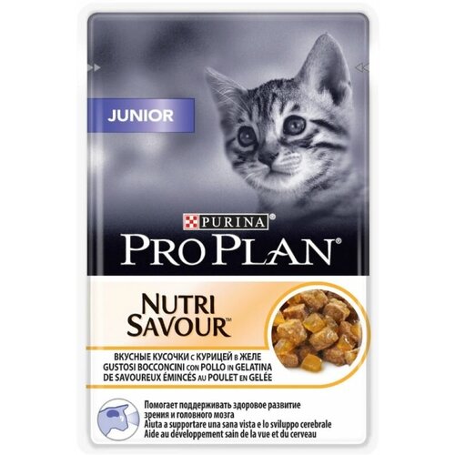 Консервированный корм для котят Pro Plan Cat JUNIOR CAT, вкусные кусочки курицы в желе, для котят от 3 недель до 1 года, 85 гр, 12 штук