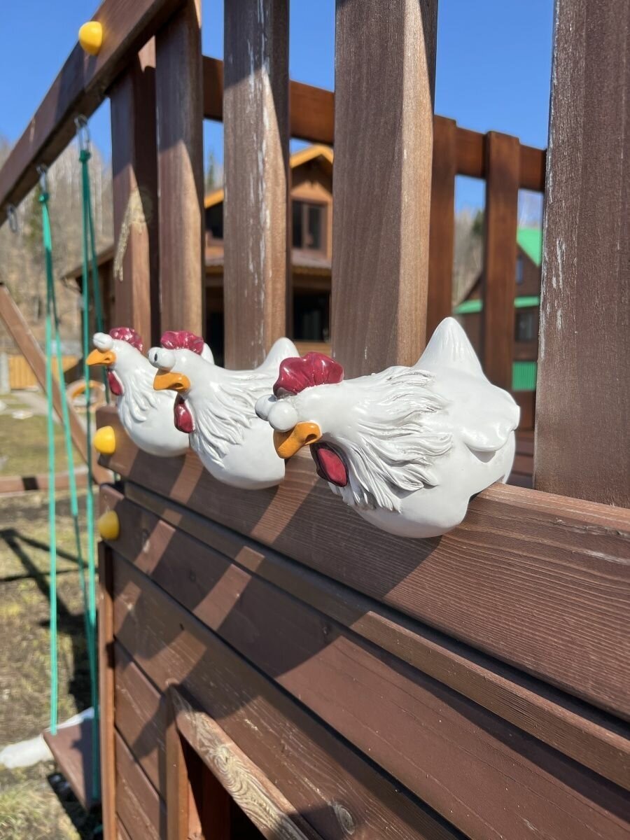 Курица на забор - фотография № 16